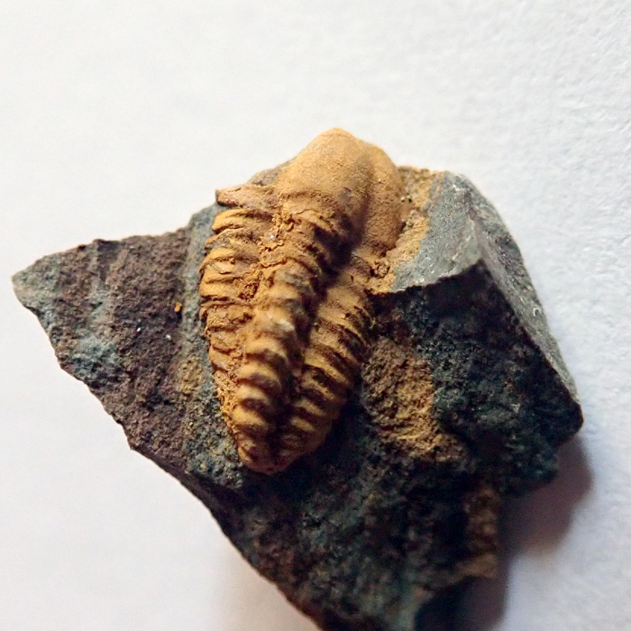 8 mm (sag), Karáskova rokle
