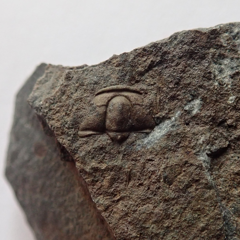 3 mm (sag), Skryje - Dlouhá hora