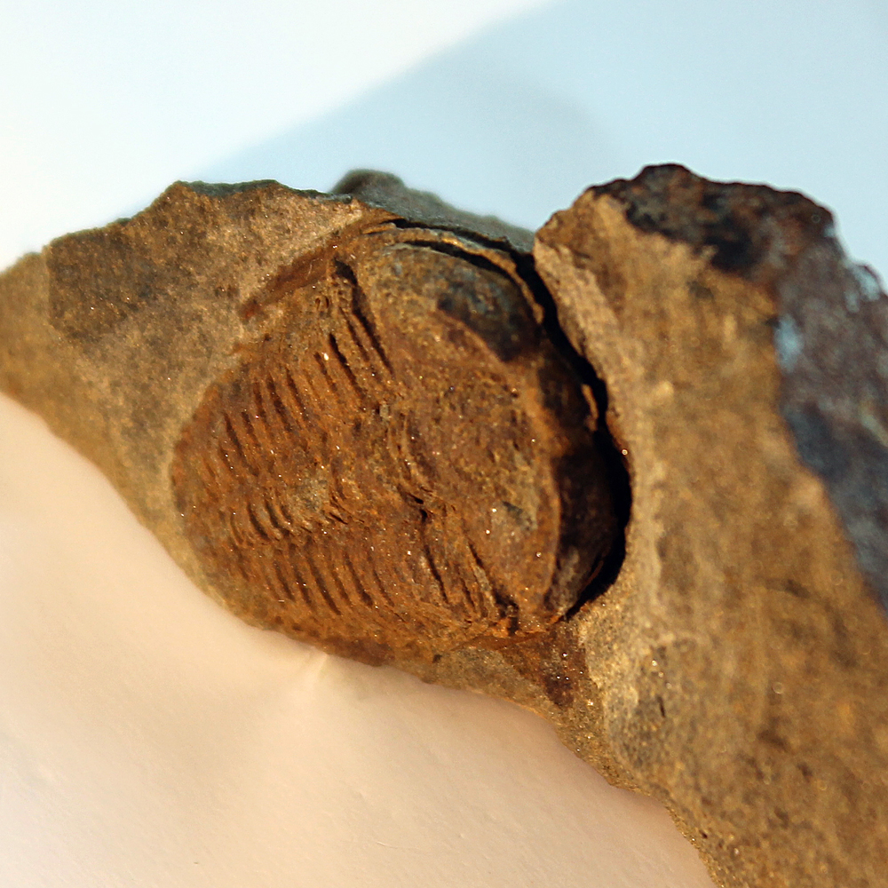 19 mm (sag), Skryje - Dlouhá hora