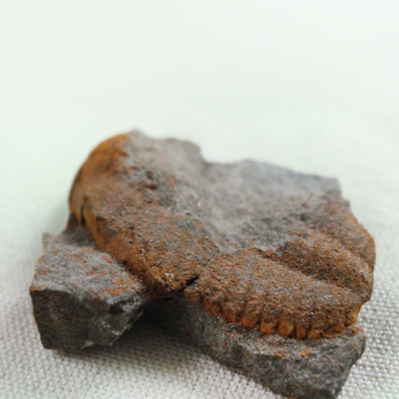 50 mm (sag), Týřovice