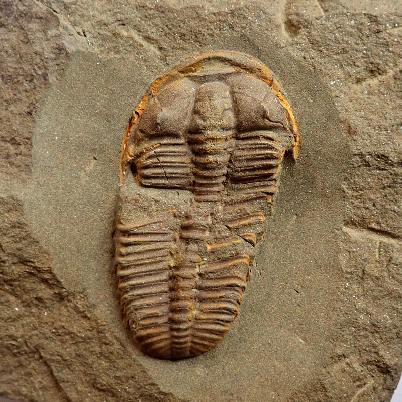 52 mm (sag), Skryje - Dlouhá hora