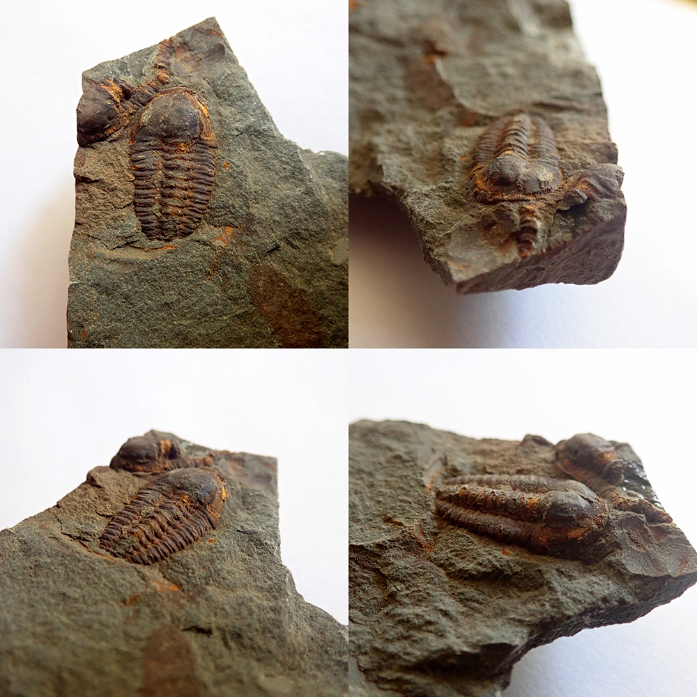 18 mm (sag), Podmokelský mlýn, 2024